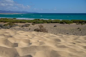 Photo sur Plexiglas Plage de Sotavento, Fuerteventura, Îles Canaries Sandy dunes and turquoise water of Sotavento beach, Costa Calma, Fuerteventura, Canary islands, Spain