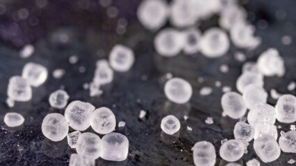 Salt 1