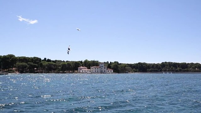 Villa Fazanka on Shore in Brijuni National Park with Flying Seagulls. Summer Sunny Vacation Day in Croatia with Adriatic Sea.