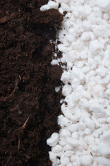 soil and Perlite for plants. neutral material of volcanic origin