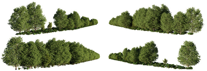 forest landscapes, collection of lush forests-capes with green trees and shrubs, isolated on transparent background 
