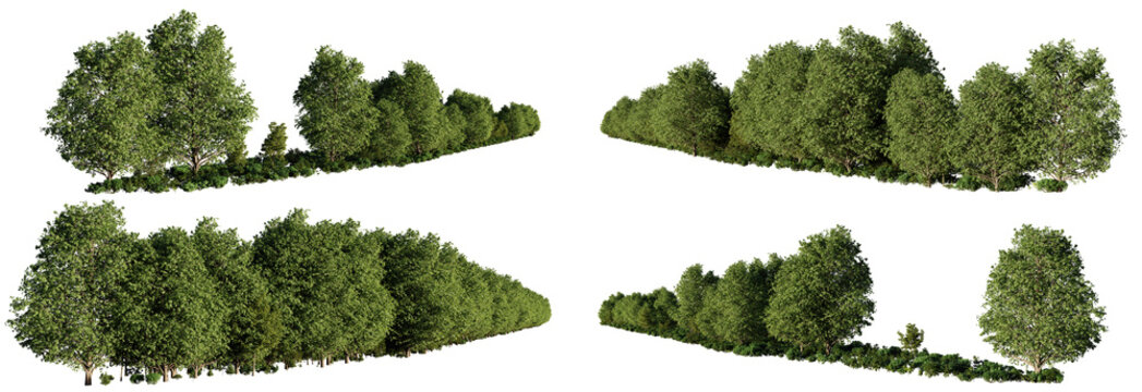 forest landscapes, collection of lush forests-capes with green trees and shrubs, isolated on transparent background 