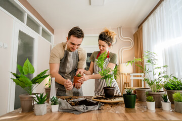 Couple caucasian man and woman wife and husband planting flowers together taking care of home plants real people domestic life family gardening concept copy space
