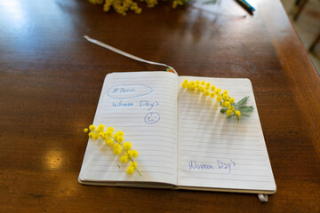 flowers and potted flowers of mimosa a beautiful flower symbol of Women&rsquo;s Day celebrated on March 8