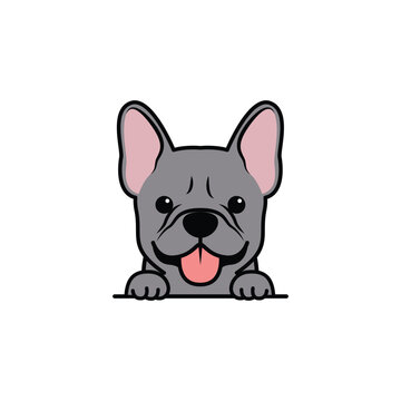 Cute french bulldog puppy blue color cartoon, vector illustration