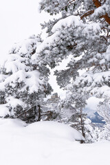Image of the Ancient/ Abbey of San Michele built on Mount Pirchiriano located at the entrance of the Susa Valley, around the years between 983 and 987 A.D. with an abundant snowfall