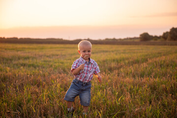 Naklejka na ściany i meble Close up portrait of little boy in plaid shirt. Todder with emotions eats spikelet of wheat