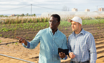 Portrait of african-american and caucasian men farmers having conversation about work on field, using smartphone, making pointing finger gesture.