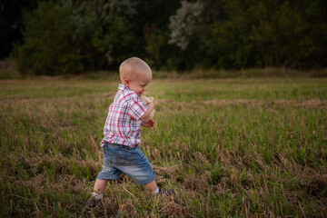 Little boy in cage shirt hugs soft toy. Todder with emotions walks in mowing green-yellow field