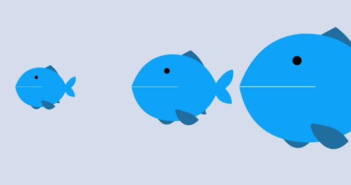 Big fish eating little fish – four fish on screen blue. Cartoon business metaphor. Modern explainer motion graphic version. Large and small. Seamless loop isolated.
