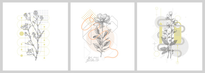 Foliage line art drawing with geometric shape. Hand drawn flowers and geometric art. Set of vector illustration. © Molibdenis-Studio