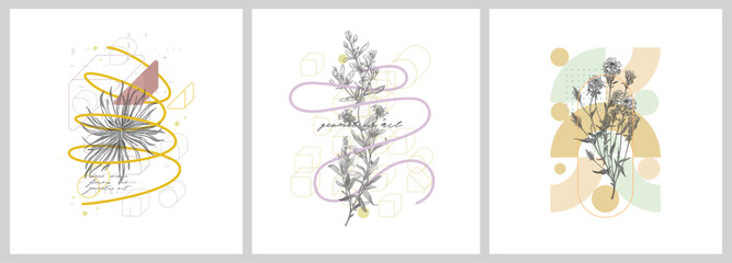 Naklejka na ściany i meble Foliage line art drawing with geometric shape. Hand drawn flowers and geometric art. Set of vector illustration.