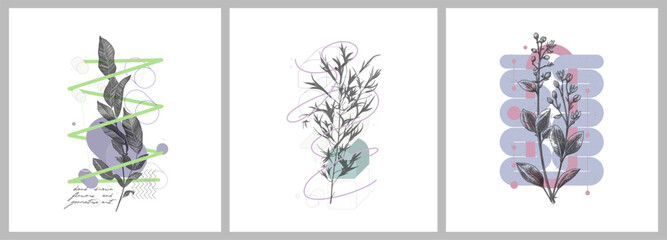 Plakat Foliage line art drawing with geometric shape. Hand drawn flowers and geometric art. Set of vector illustration.