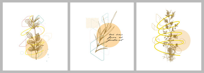 Foliage line art drawing with geometric shape. Hand drawn flowers and geometric art. Set of vector illustration.