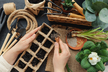 Young woman planting seeds at home.