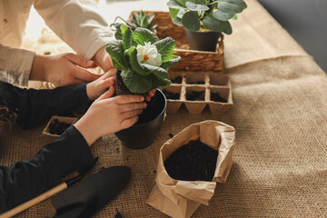 Mom and daughter transplant a flowerpot, gardening concept, happy childhood