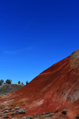 The Painted Hills in Wheeler County, Oregon