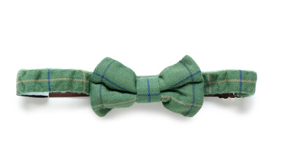 Green bow tie isolated on white background