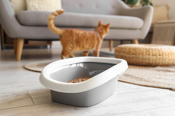 Litter box for cat on floor in room