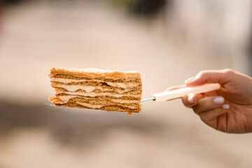 Selective focus on slice of honey cake on a metal cake spatula in hand