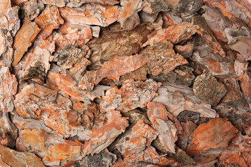 Many tree bark pieces as background, closeup