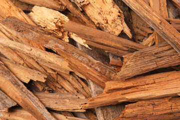 Many wood chips as background, closeup view