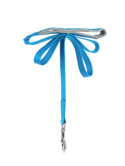 Obraz na płótnie Canvas Light blue dog leash isolated on white
