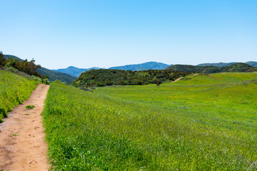 Clear blue skies and lush green grass after lots of rain in Southern California. Pictures taken midday during a hike in Spring season at Rancho Sierra Vista/Satwiwa