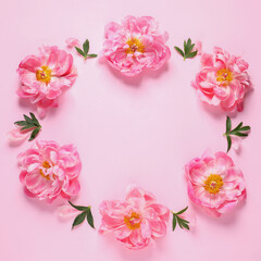 Frame made of beautiful peonies on pink background, flat lay