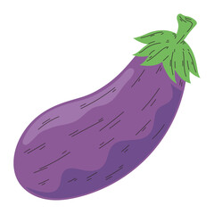 fresh eggplant vegetable
