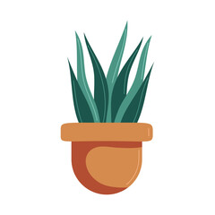 houseplant in classic pot