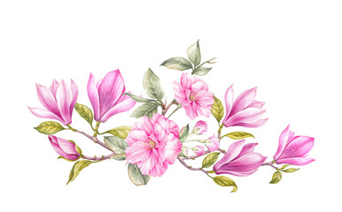 Obraz na płótnie Canvas Differents flower magnolia on white background. Watercolor floral illustration
