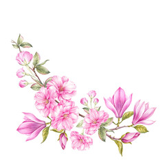 Fototapeta na wymiar Differents flower magnolia and sakura on white background. Watercolor floral illustration