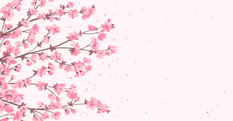 Cherry blossom branch with pink flower banner, template or card. Elegant Japanese blooming twig plant with flowers petals. Asian Chinese spring blossoming background. Vector oriental illustration