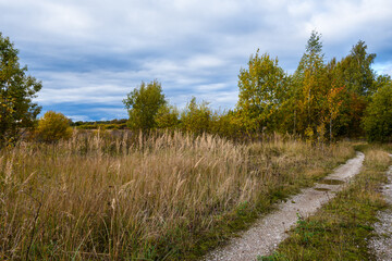 The dirt road passes through tall yellow grass and hides in the autumn forest. In the background is a lowland with shrubs. Sunny but cloudy skies take on dark blue storm hues