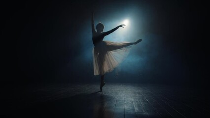 Silhouette of ballerina in backlight of spotlights. Graceful ballet dancer spins on toes in pointe shoes - Powered by Adobe