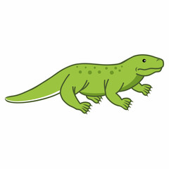 Monitor lizard on white background. Reptile. Exotic animals and lizards. Komodo waran dragon.