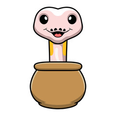 Cute super cinnamon banana ball python cartoon inside the sack