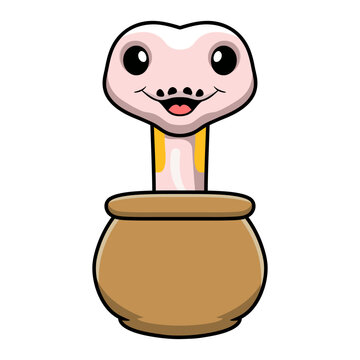 Cute super cinnamon banana ball python cartoon inside the sack