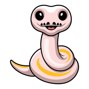 Cute super cinnamon banana ball python cartoon