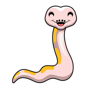Cute super cinnamon banana ball python cartoon