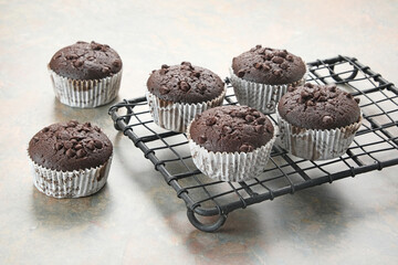 Delicious Chocolate Muffins with choco chips
