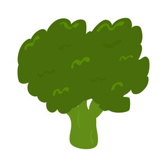 Abstract doodle flat Broccoli isolated on white background.