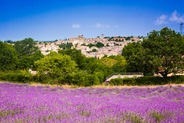 Fototapeta na wymiar City of Valensole in south of France