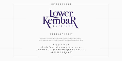 Abstract Fashion font alphabet. Typography typeface uppercase lowercase and number. vector illustrations.