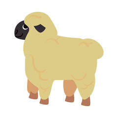 flat cute sheep