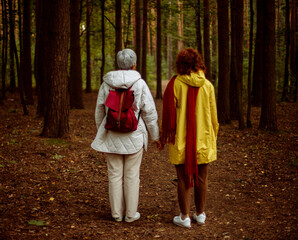 Fototapeta premium Two old female friends hiking together through the forest in autumn. Back view.