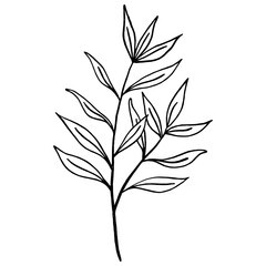 Fototapeta premium Floral leaf line art element for wedding card, invitation card, poster, logo design and more.