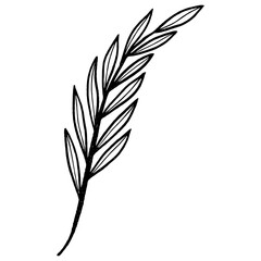 Floral leaf element for wedding card, invitation card, poster, logo design and more.