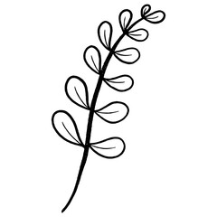 Floral leaf element for wedding card, invitation card, poster, logo design and more.